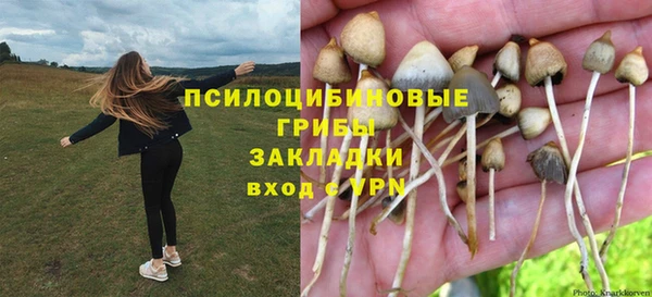 каннабис Михайловка